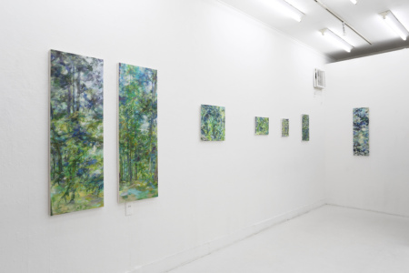 Installation view