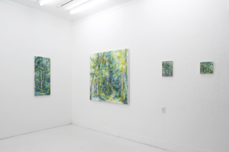 Installation view