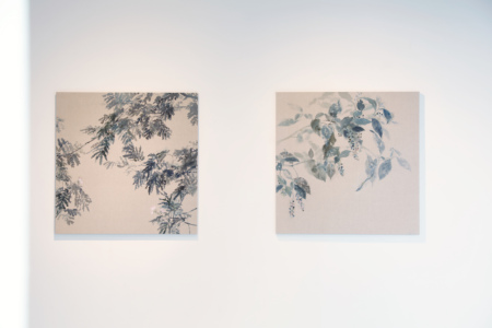Installation view