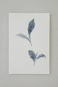 030 tea leafs