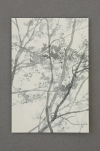 003 woods